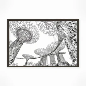 Singapore | Gardens By The Bay — Urban Sketch framed fine art interior preview